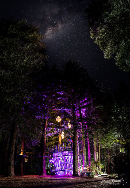 Treewalk and Nightlights