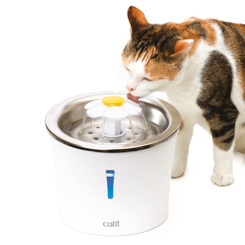 Cat Fountain