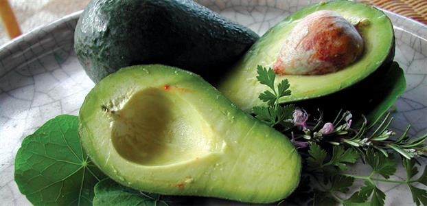 Avocado 'Wurtz' A type