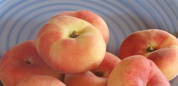 Peach 'China Flat' tree