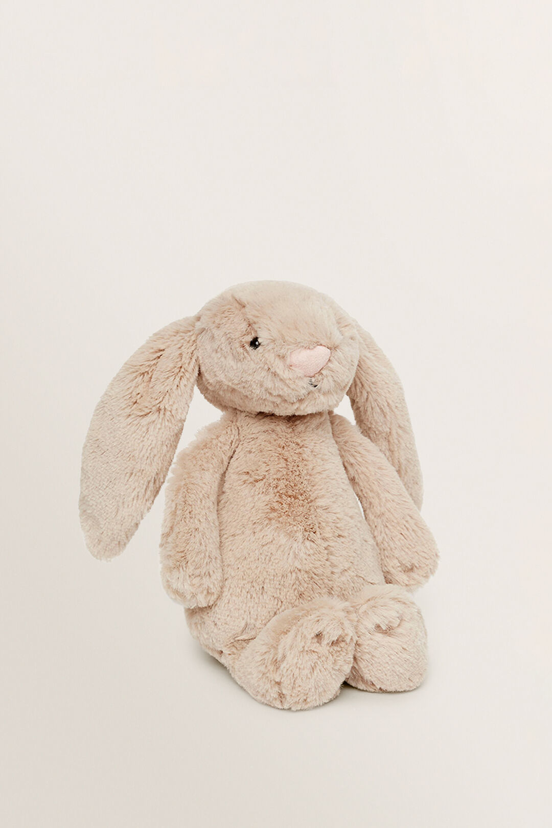 Bunny rabbit
