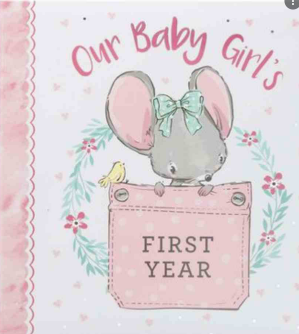 baby first year book
