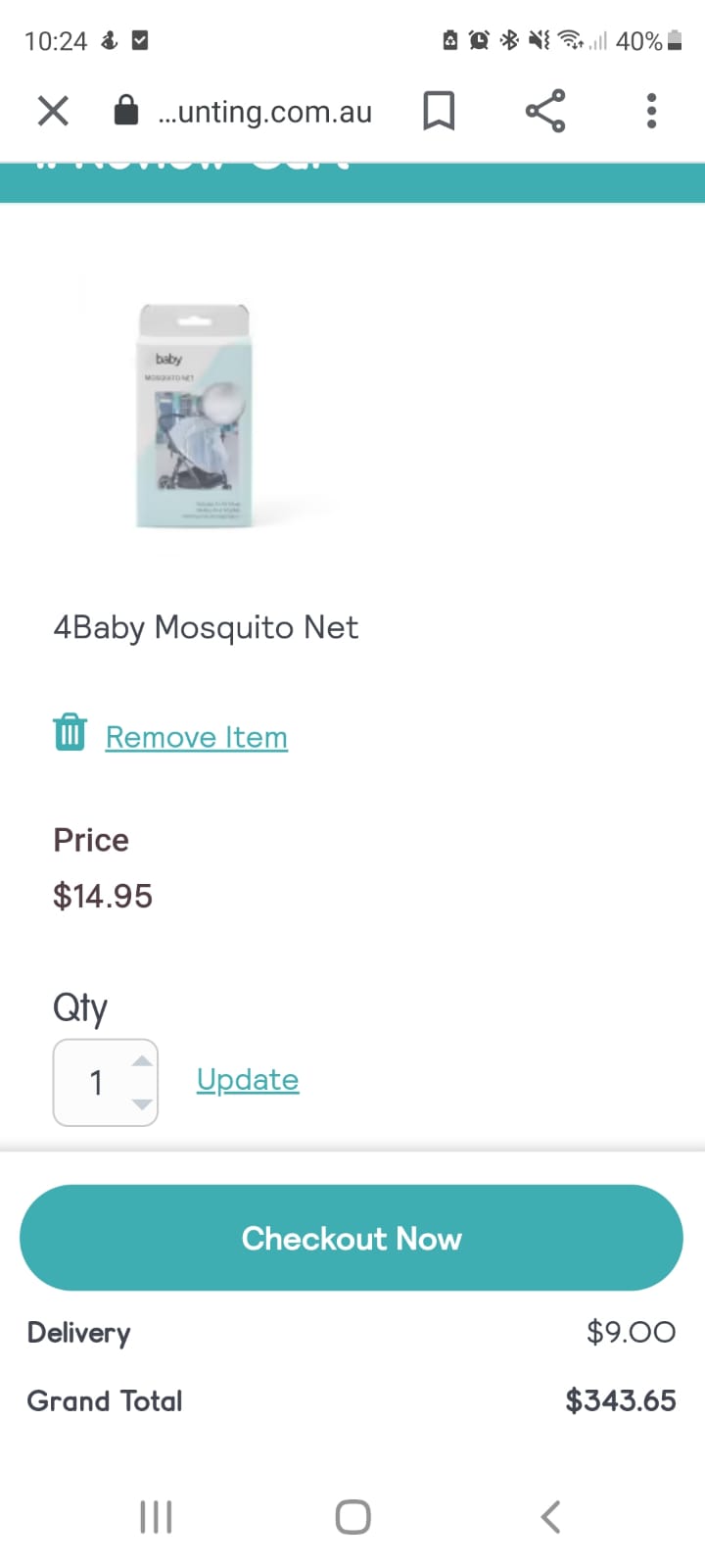 Mosquito Net