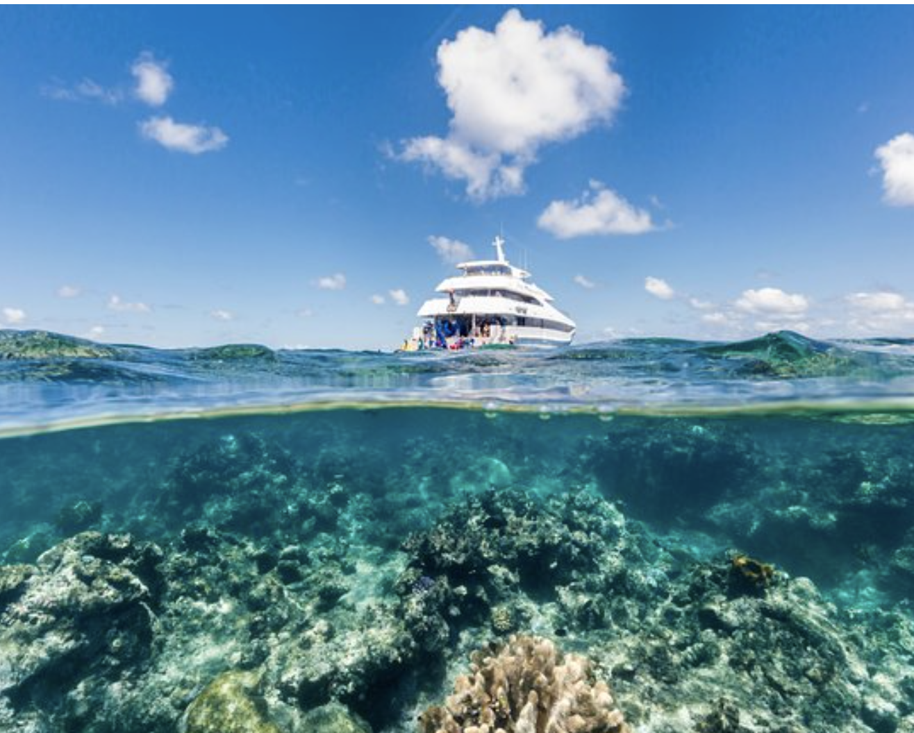 Outer Barrier Reef Day Tour