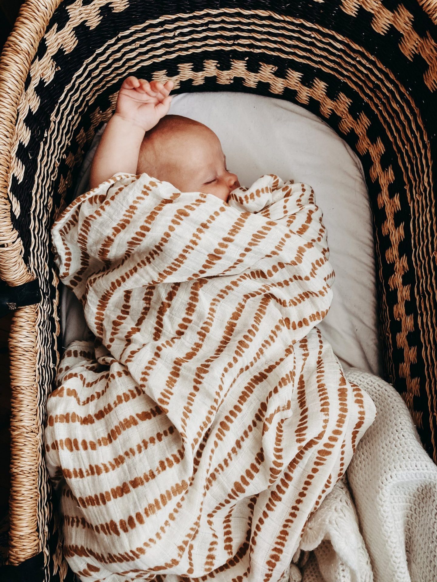 Wrap - Orche