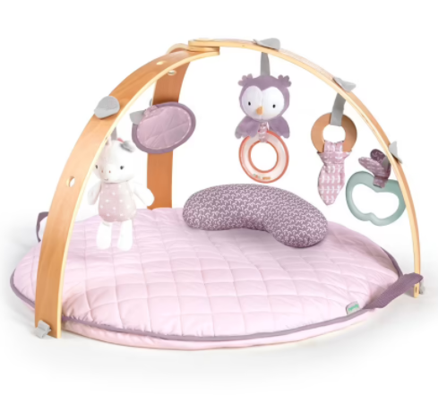 Baby Bunting Play Gym $130