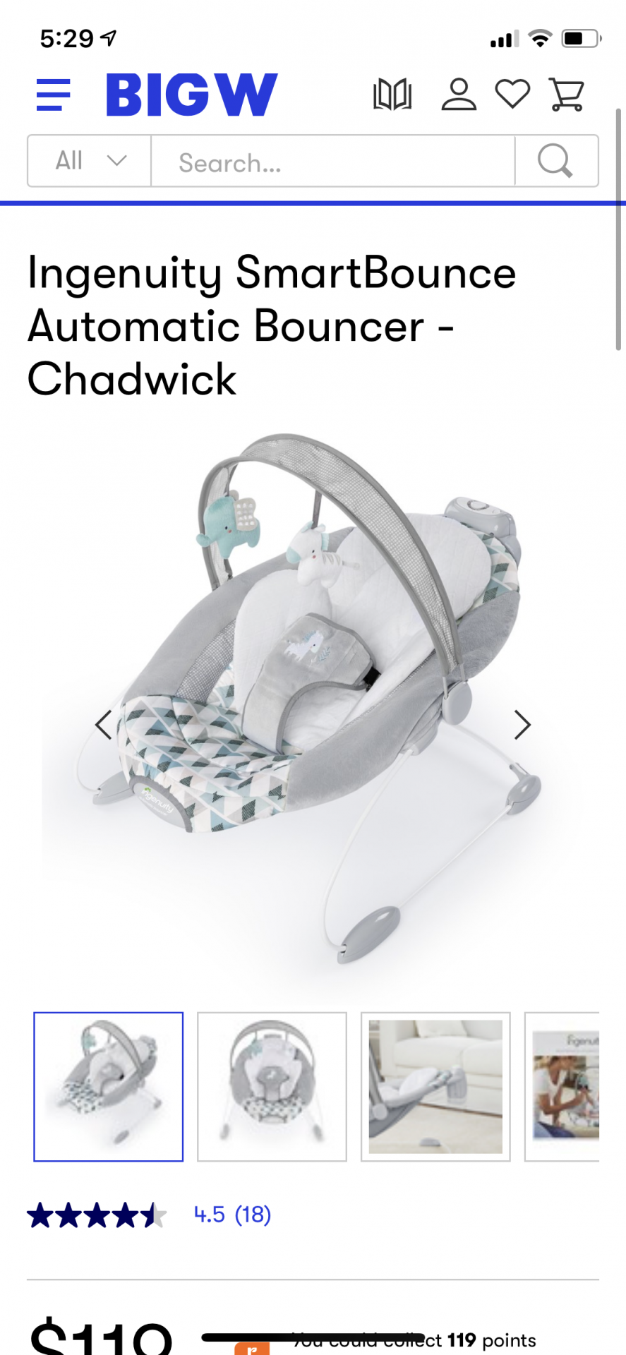 Baby Bouncer