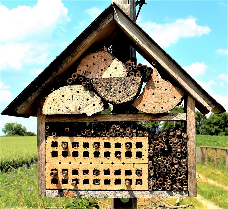 Bee House