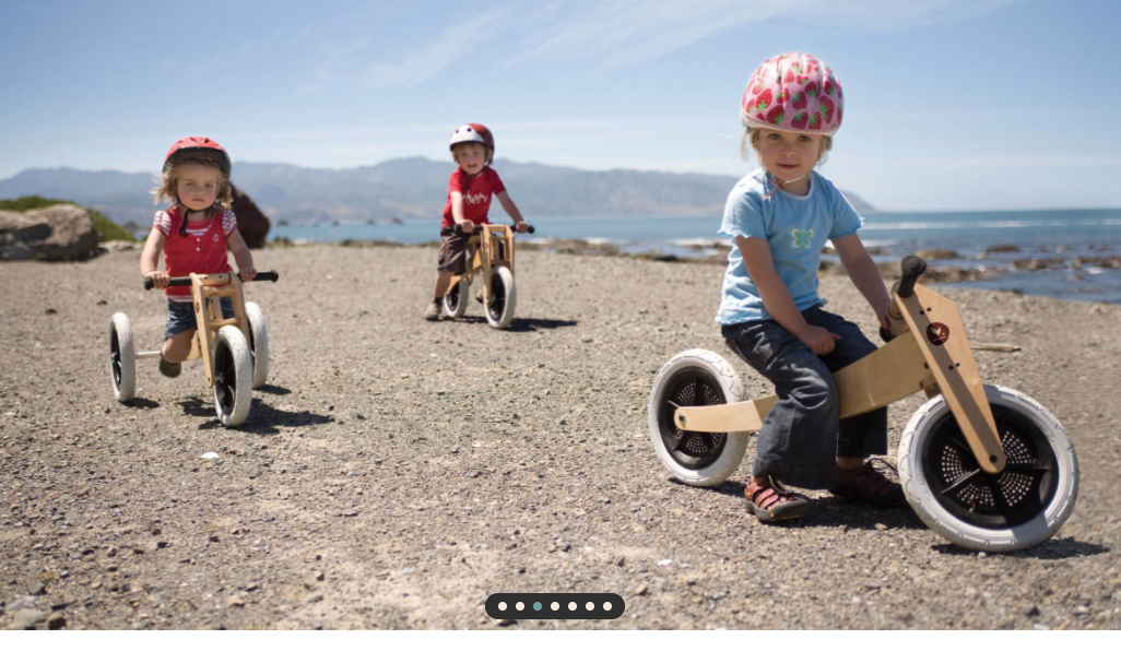 Wishbone 3in1 Trike/Bike