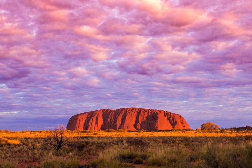 Honeymoon to Uluru