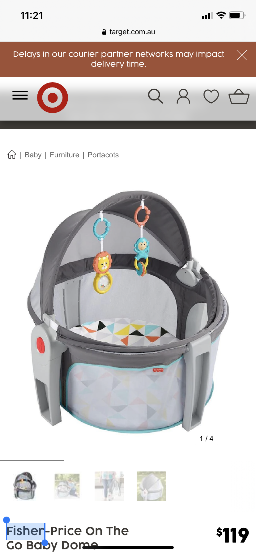 Fisher Price On the Go Baby Dome