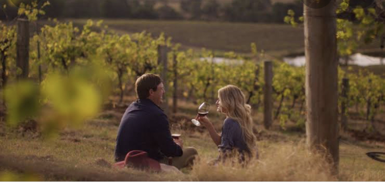 Hunter Valley Wine Tour