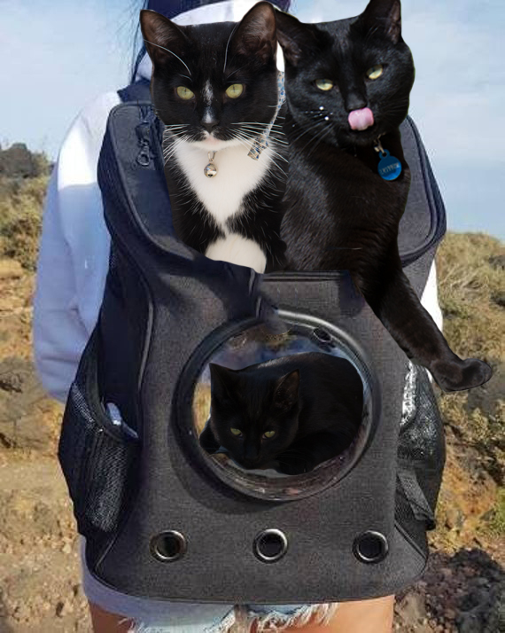 Cat Backpack