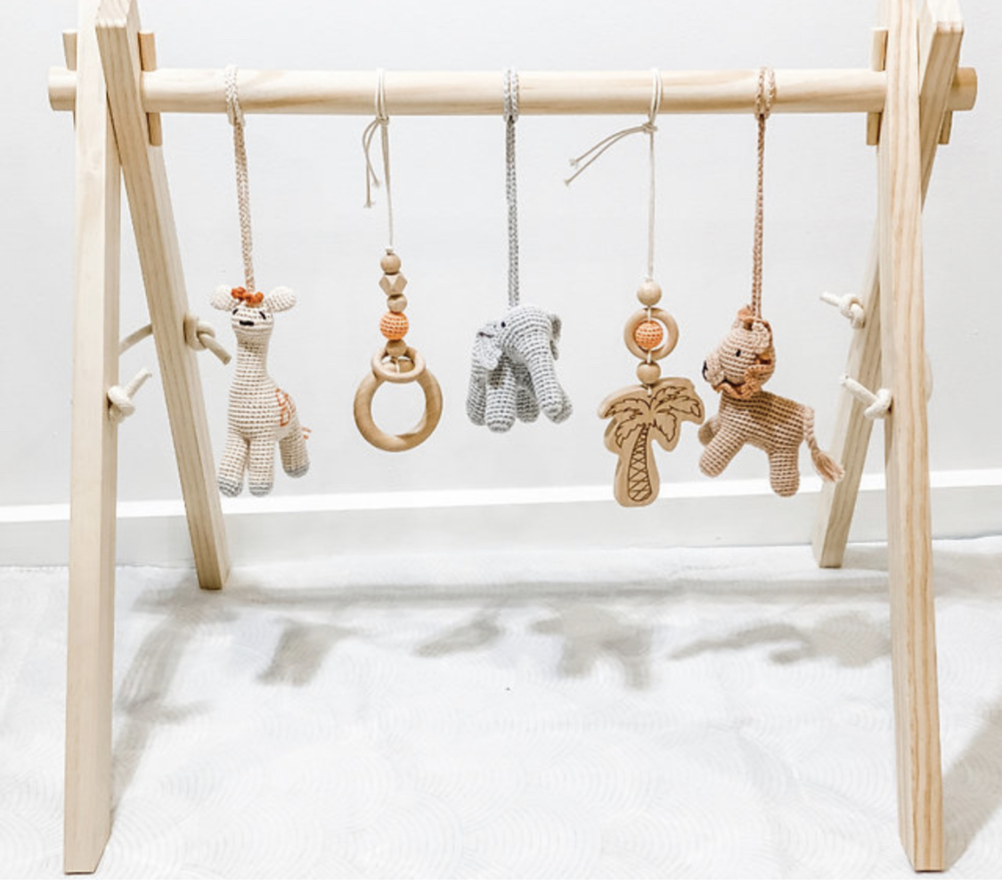 Safari Play Gym Set