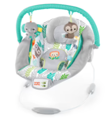 Baby Bouncer - Baby Bunting