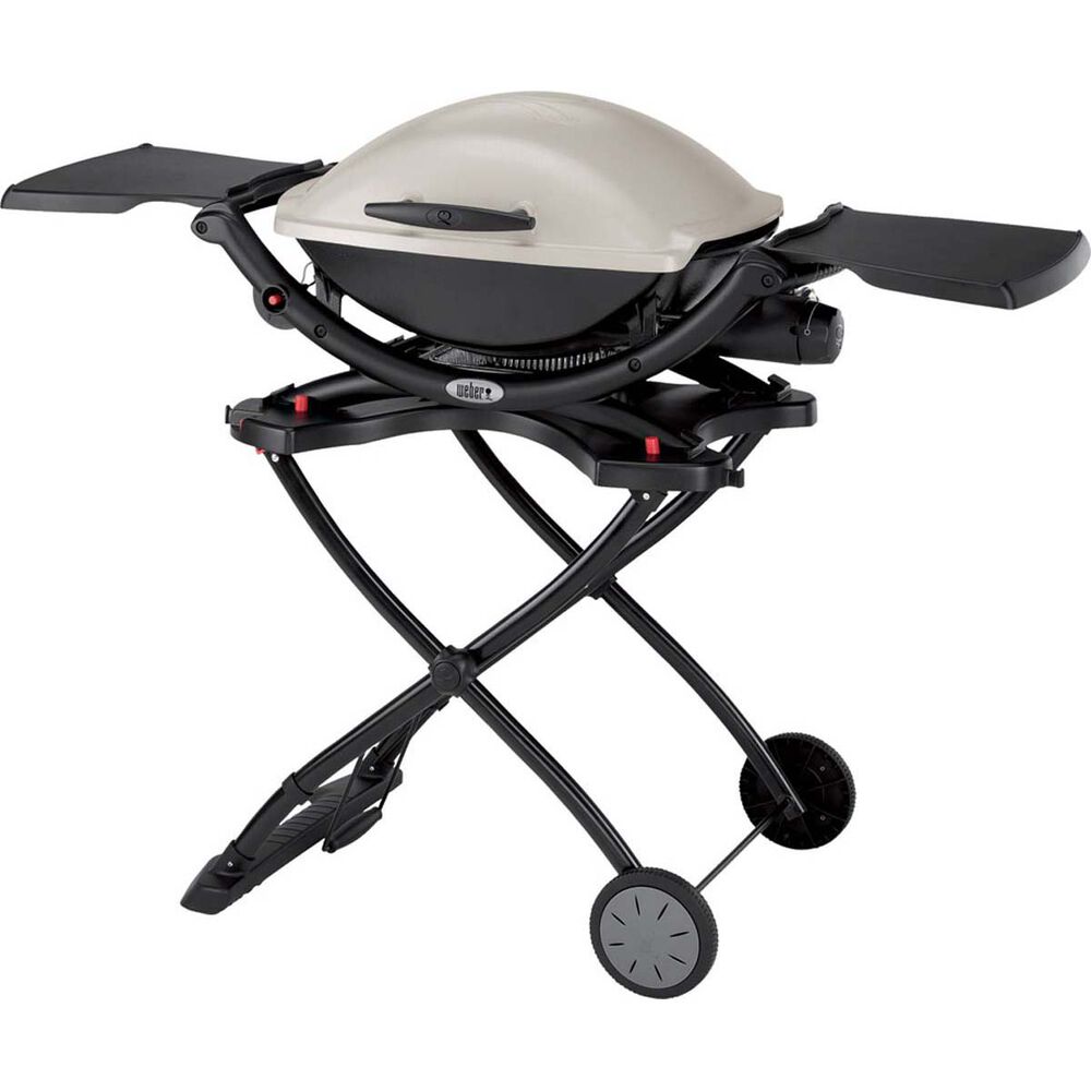 BBQ and Stand