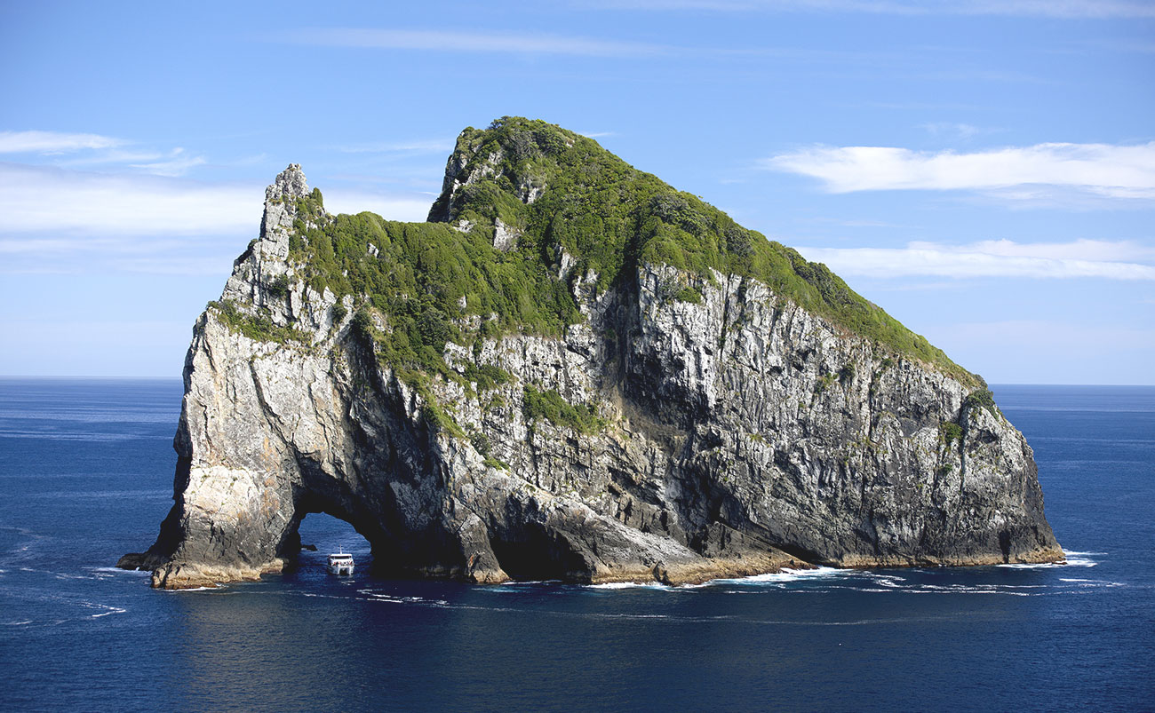 Bay of Islands Cruise