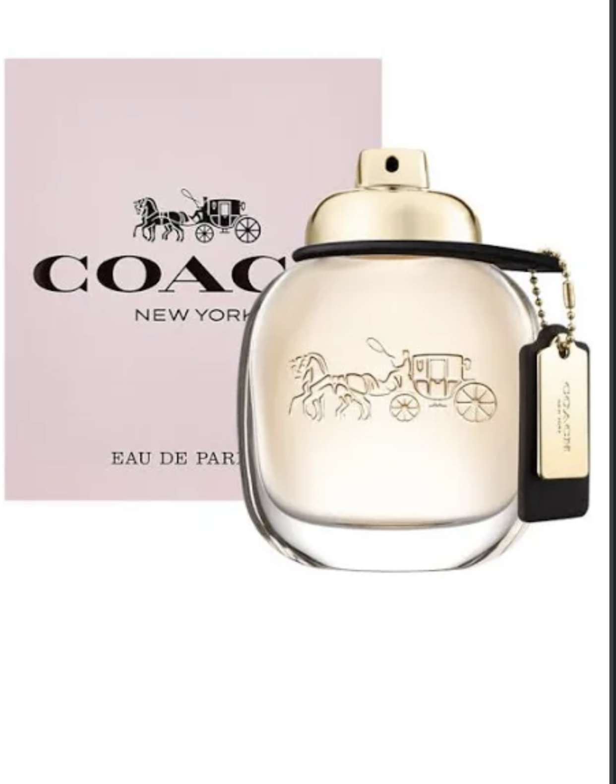 Coach perfume