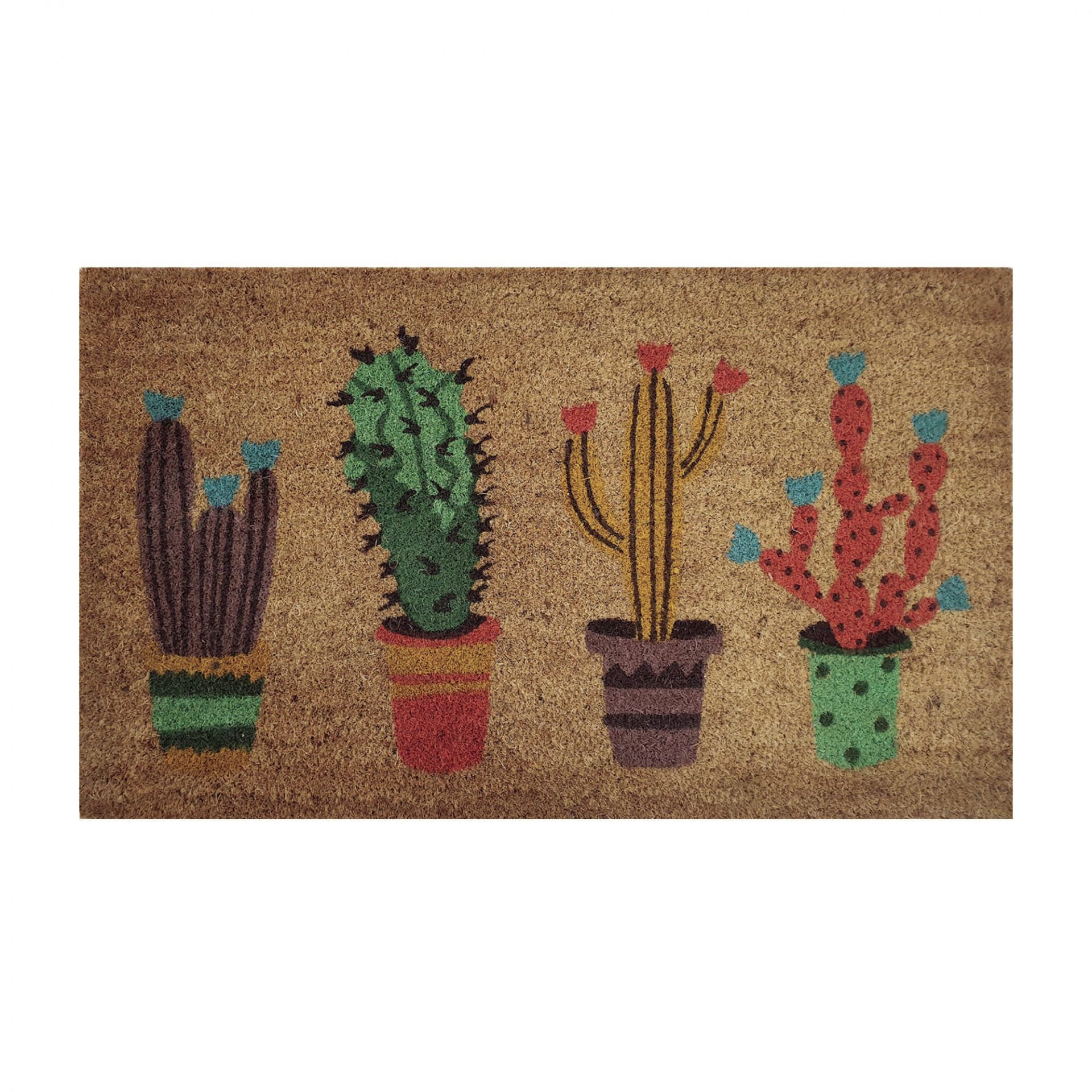 TEMPLE & WEBSTER Fun Cactus Outdoor Doormat