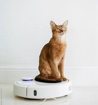 Robotic Vacuum Cleaner