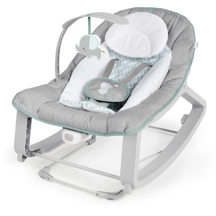 Baby Swing/Bouncer