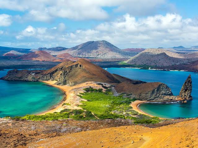 Swimming in Galápagos Islands