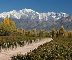 Wine tasting in Argentina