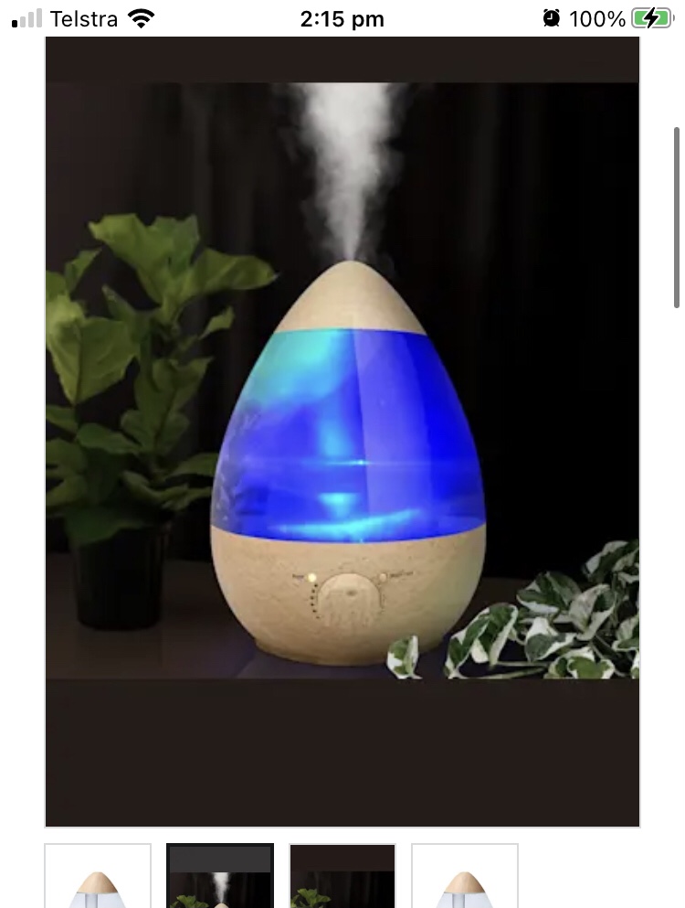 Cool mist humidifier