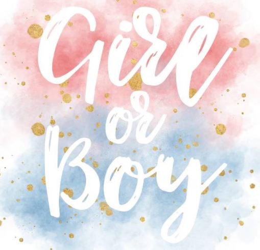 Girl or Boy clothing