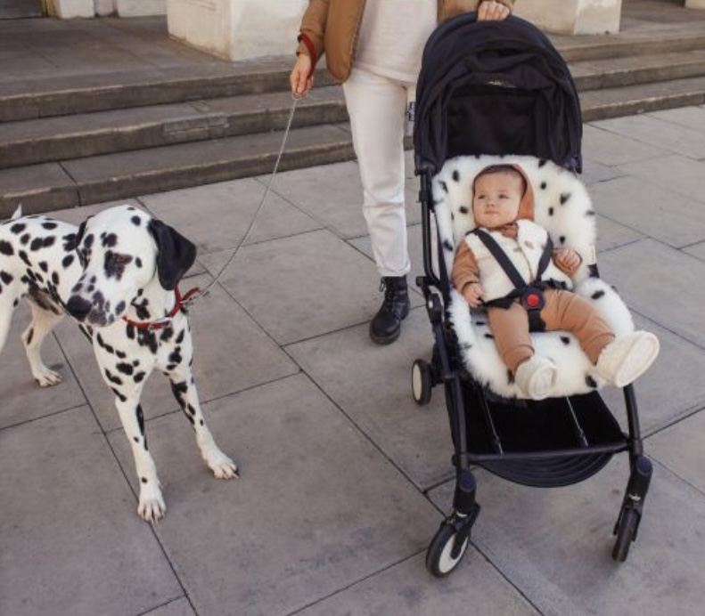 Binibamba sheepskin for pram