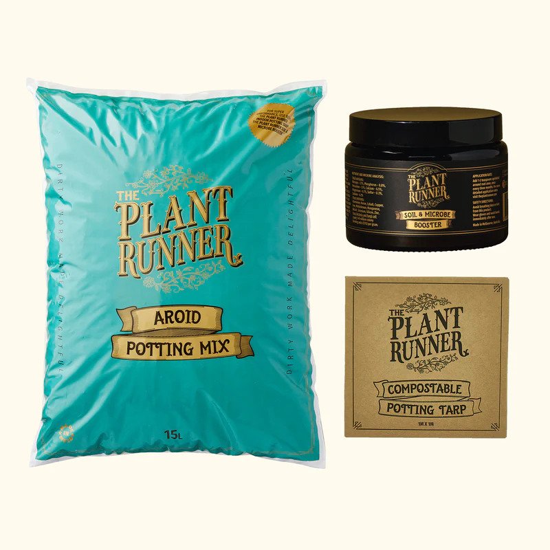 Plant potting kit