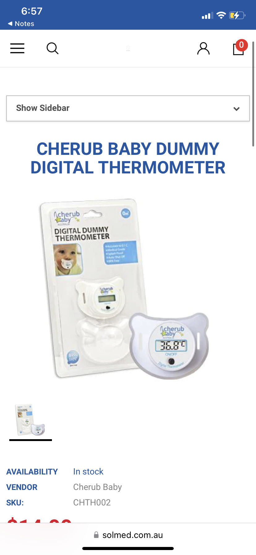 Dummy thermometer