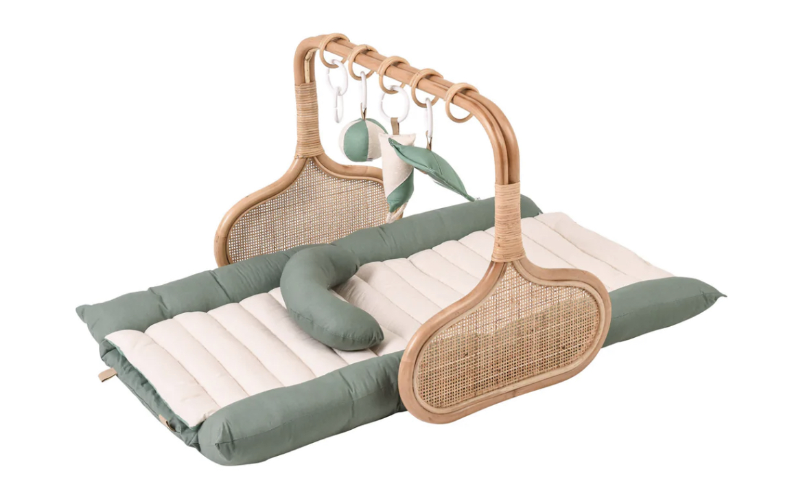 Purchased- Rattan Play gym