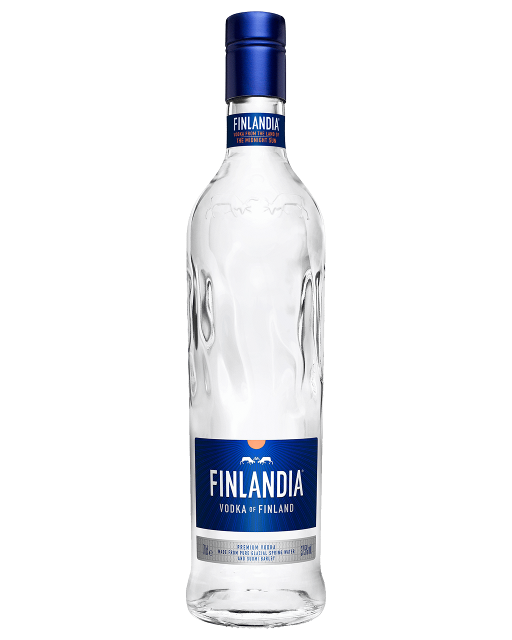 1 bottle of any vodka 700 ml