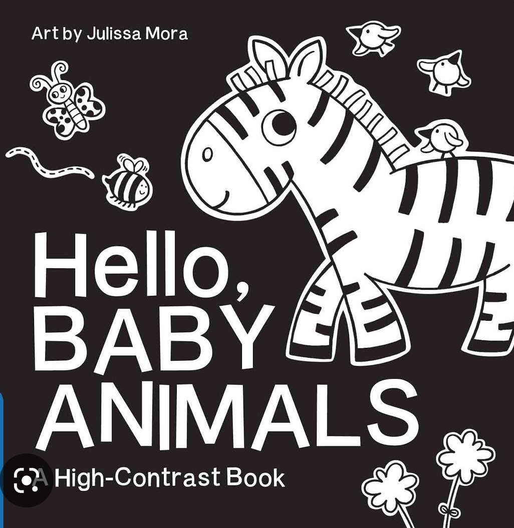 High contrast black & white baby book
