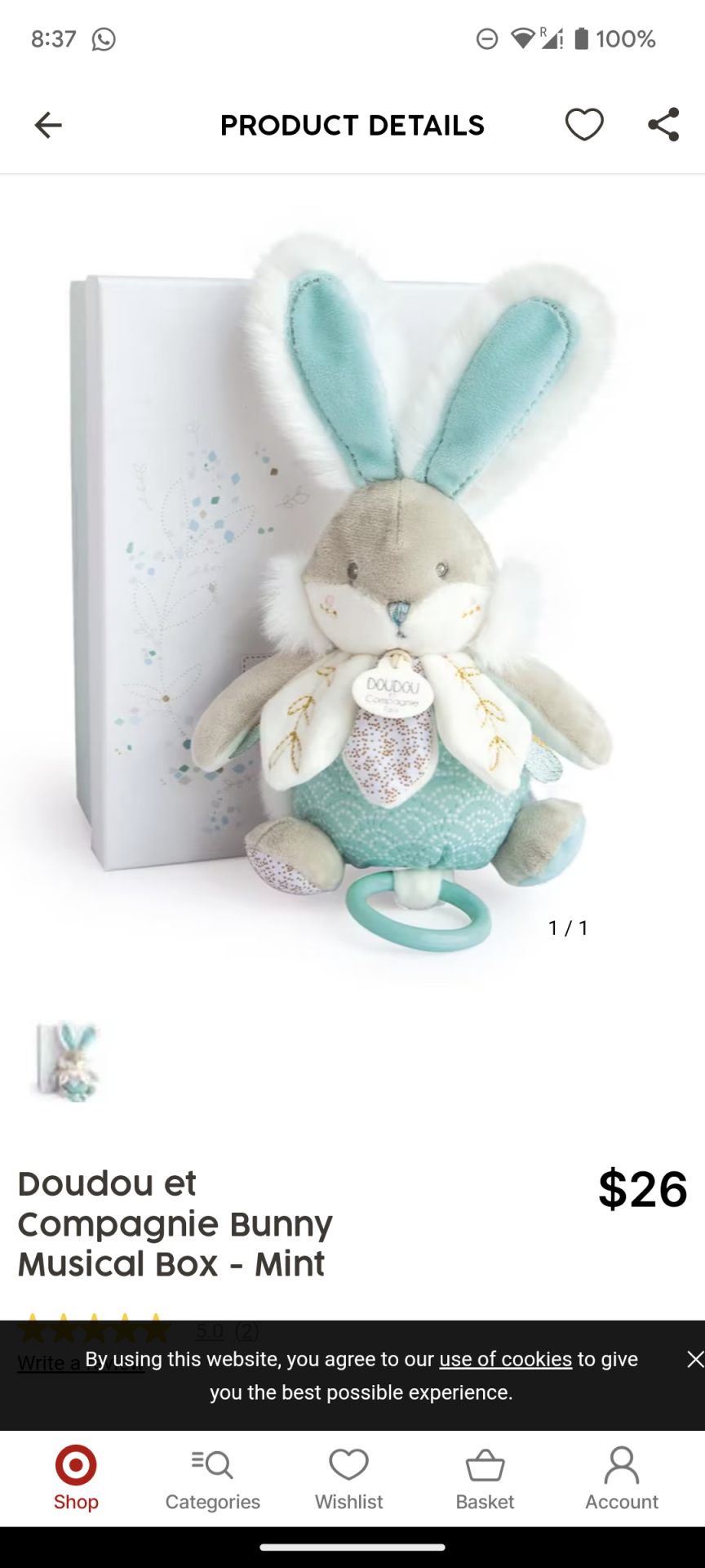 Bunny Musical Box - mint