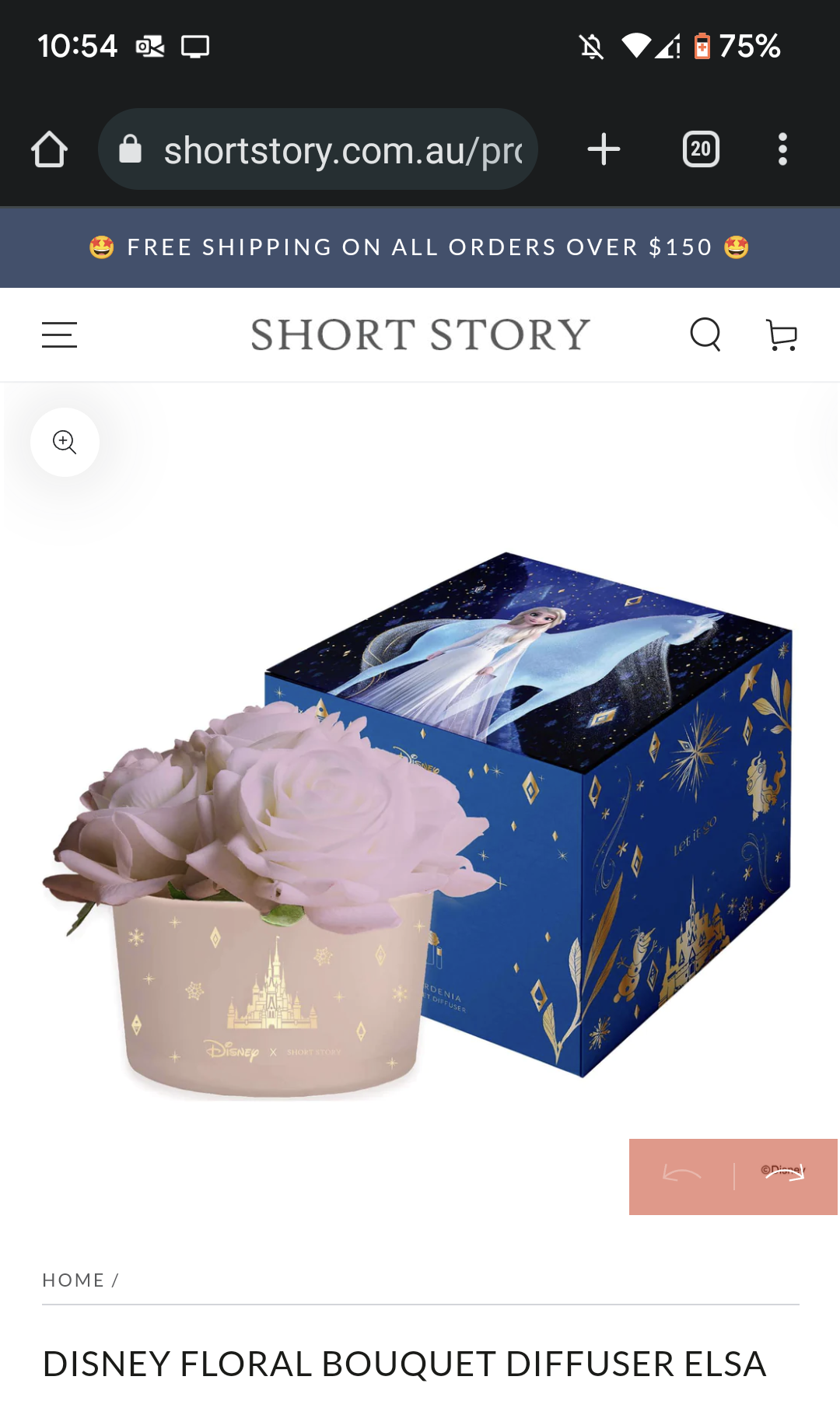 Short story bouquet diffuser elsa