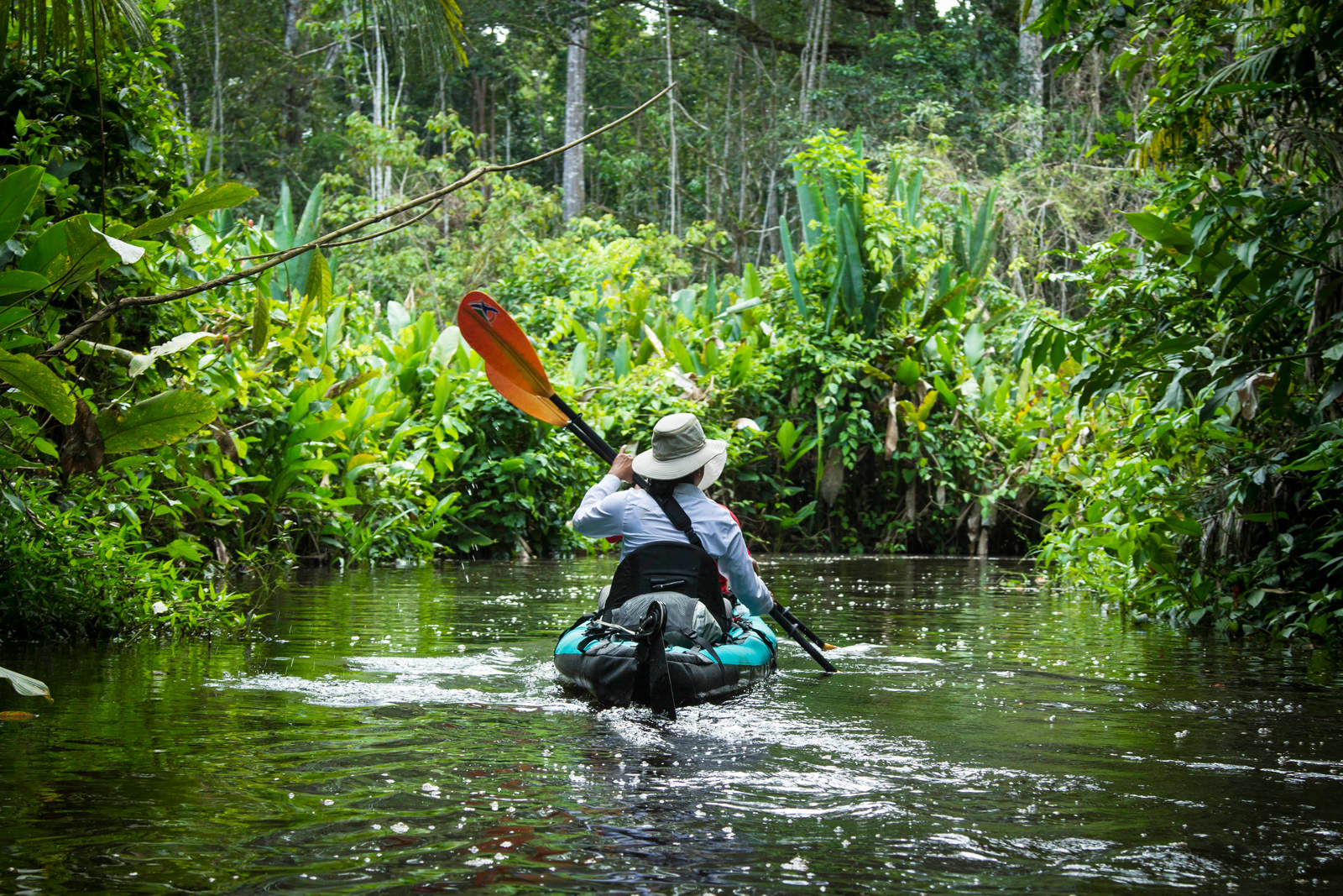 Jungle Kayak tour in Calakmul [COMPLETED]