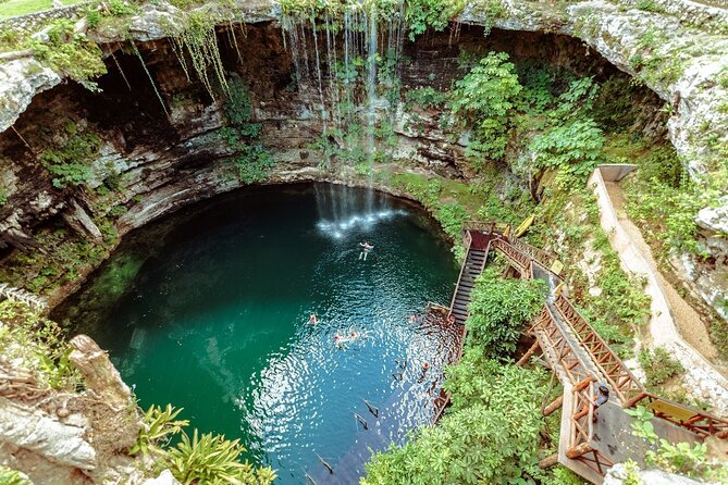 Cenote Snorkle Tour [COMPLETED]