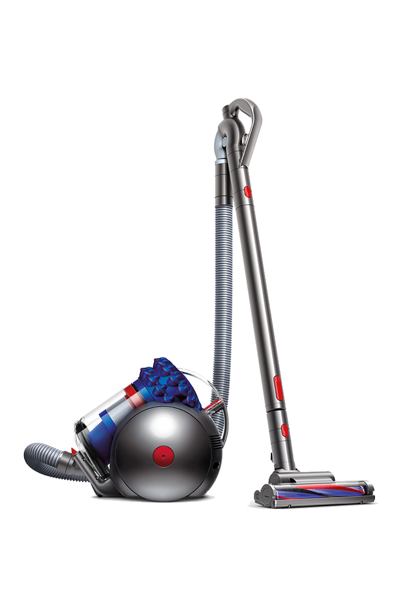 Dyson Cinetic Big Ball Animal+