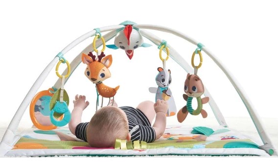 Baby play gym