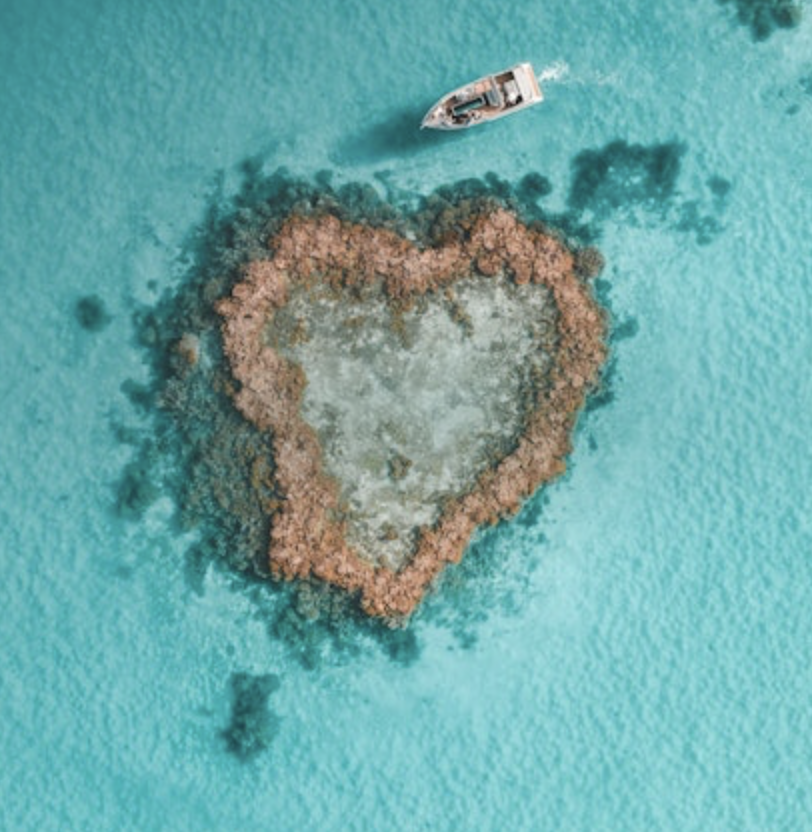 Heart Reef & Whitehaven Helicopter Ride