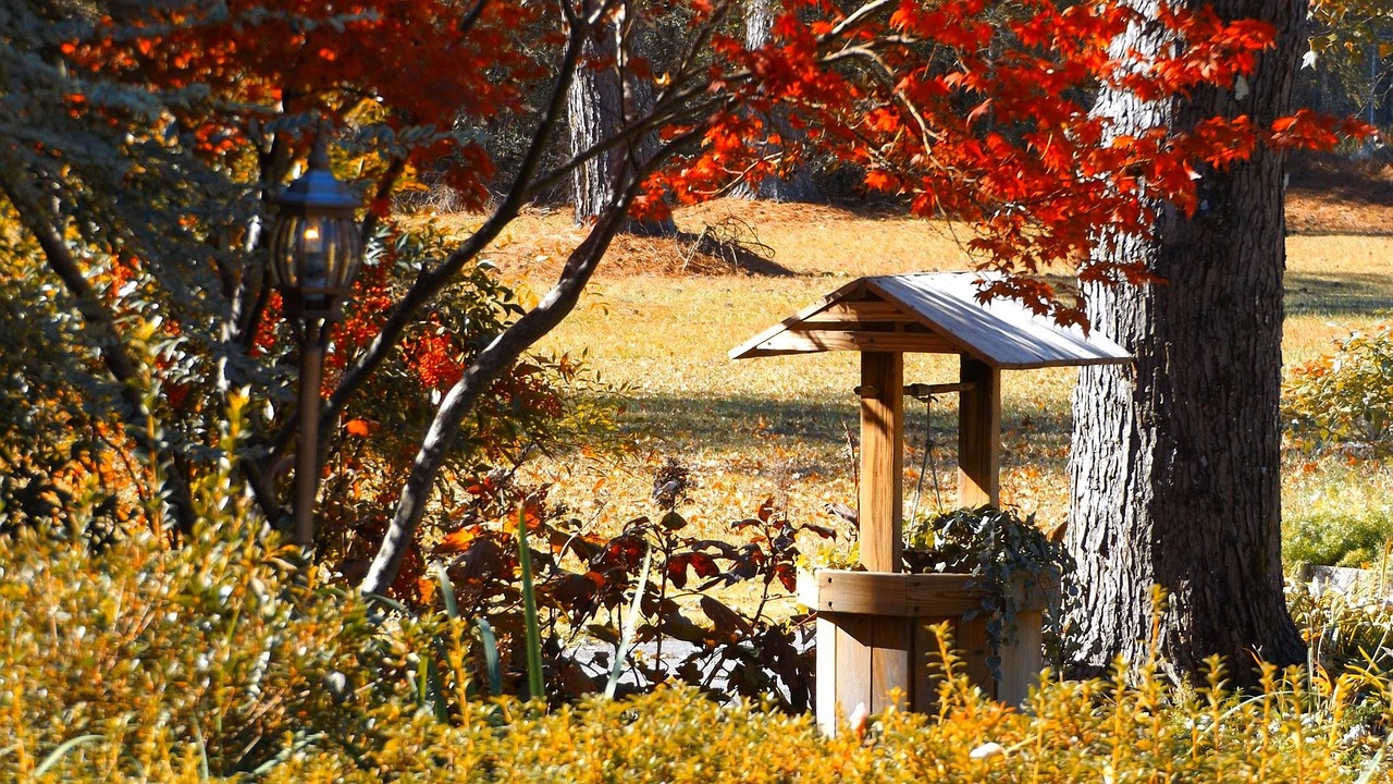 Wishing Well