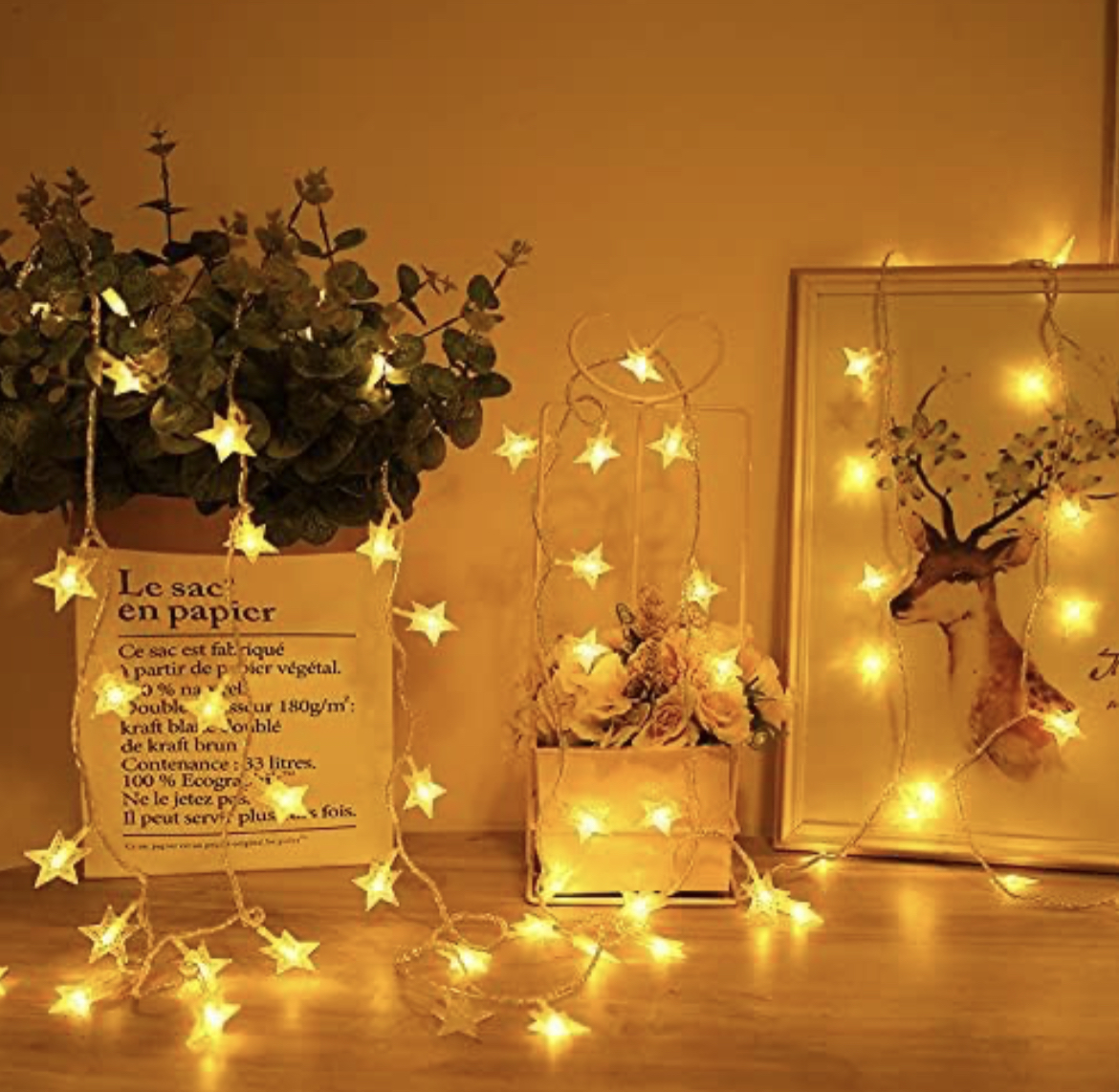 Fairy Lights