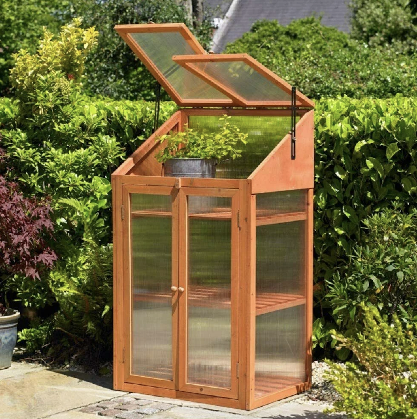 Wooden Greenhouse Cabinet