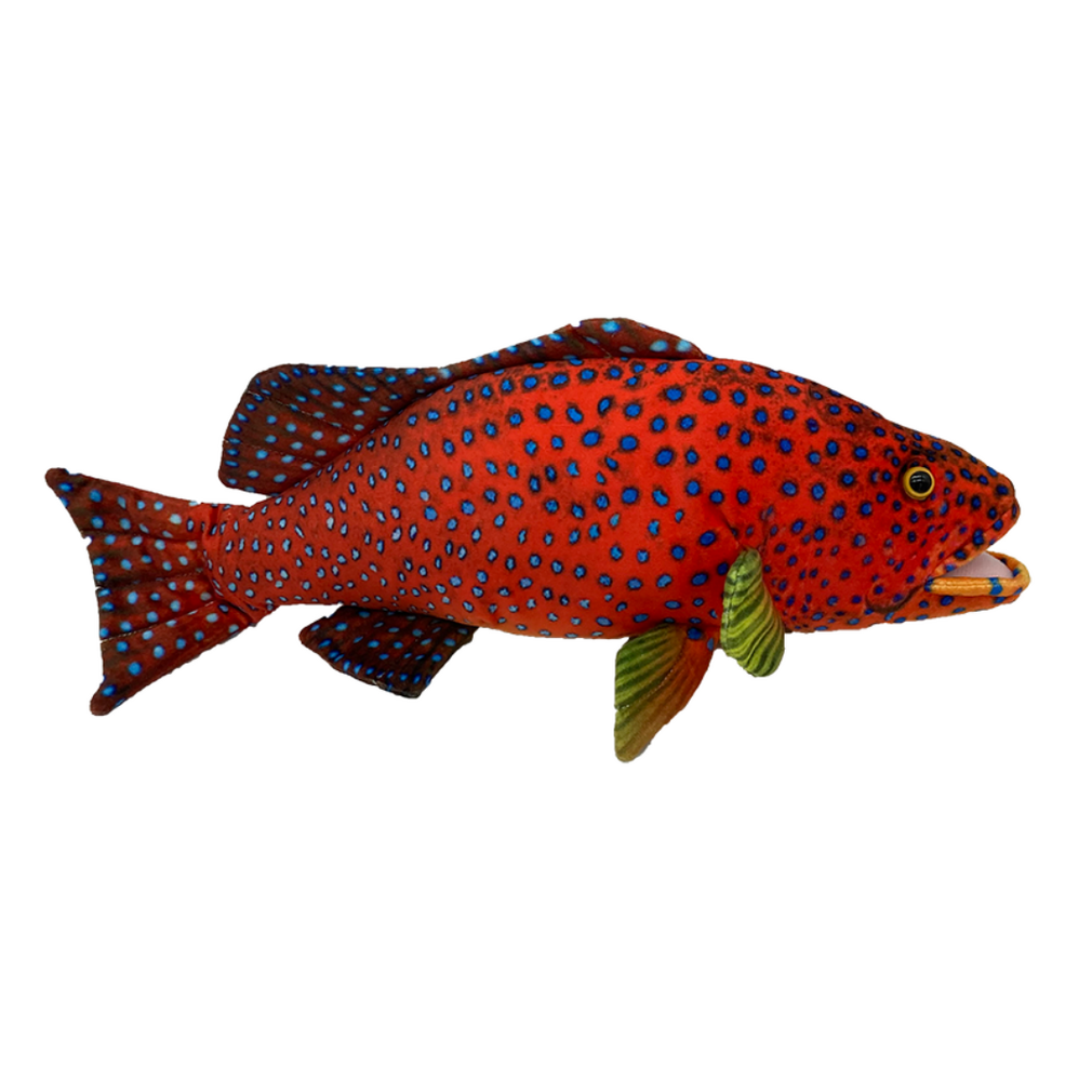 Coral trout soft toy