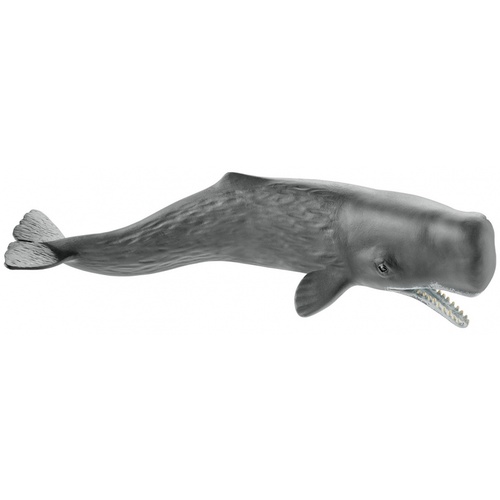 Sperm Whale (Schleich)