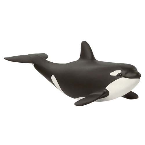 Baby Orca (Schleich)