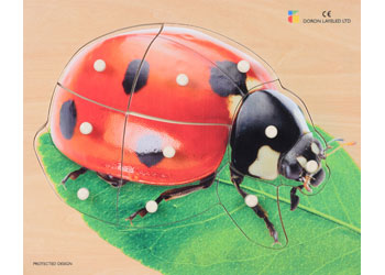 Ladybird Knob Puzzle 10pcs