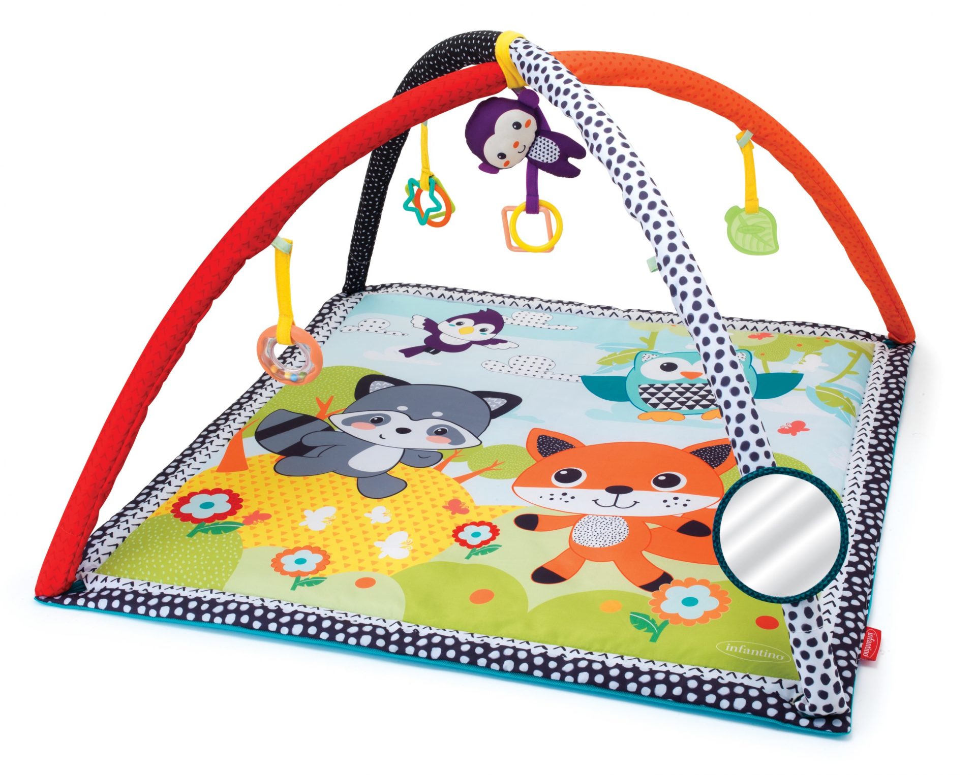 Play Mat and Activity Gym